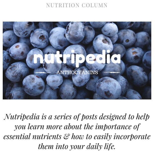 Have you had your anthocyanins today? Head over to Thehellip