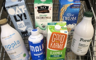 Non-Dairy Milks: How to Make the Best Choice For You