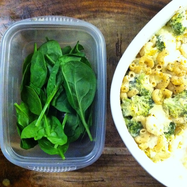 Packing Friday Lunch: Utilize your #leftovers for a quick and nutritious lunch. #spinach is a great add-in to make any leftover dish a little more healthy. ? It cooks in no time, wilts just enough and easily mixes into most dishes. #squash and #broccoli #macncheese ?